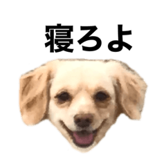 [LINEスタンプ] 毒舌犬のなつ