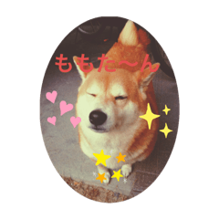 [LINEスタンプ] ももたんプリティ