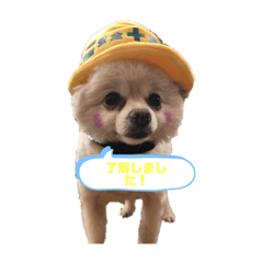[LINEスタンプ] ゴン太とブン太