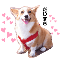 [LINEスタンプ] マロンちゃんの思い出