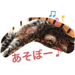 [LINEスタンプ] きなことくるみのスタンプ