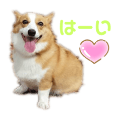 [LINEスタンプ] マロンちゃんの思い出3