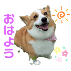 [LINEスタンプ] マロンちゃんの思い出2