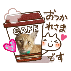 [LINEスタンプ] にゃんスタ‼️