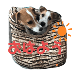 [LINEスタンプ] ジャックラッセル ぴの＆ブラン