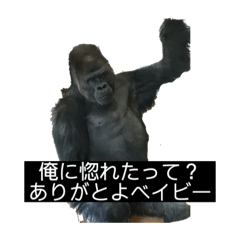 [LINEスタンプ] 動物スタンプ Ky