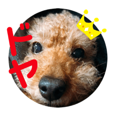 [LINEスタンプ] プリンの日常〜