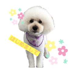 [LINEスタンプ] みるくちゃんのいる生活