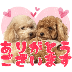 [LINEスタンプ] 我らがペット大集合