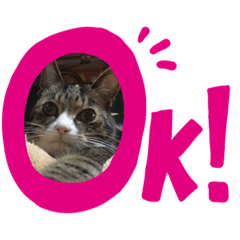 [LINEスタンプ] M‘sにゃんこ2