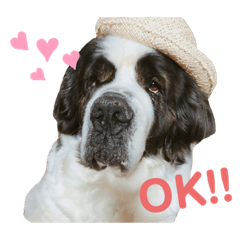 [LINEスタンプ] セントバーナードのヨーゼフ♡