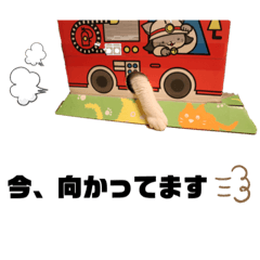 [LINEスタンプ] みんなのナナ様