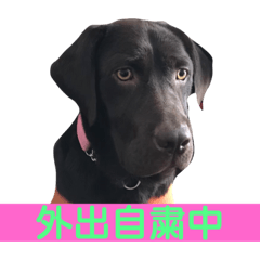 [LINEスタンプ] BAKKすたんぷ
