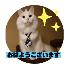 [LINEスタンプ] 愛されニャンズ