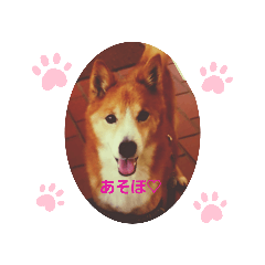 [LINEスタンプ] ♡かぶき大好き♡