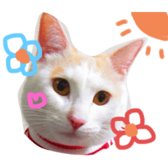 [LINEスタンプ] グゥとパル