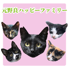 [LINEスタンプ] 元野良ハッピーファミリー