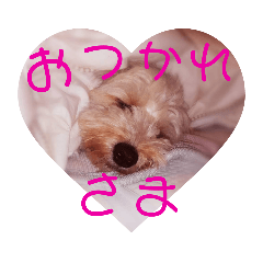 [LINEスタンプ] るーちゃんずスタンプ