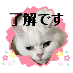 [LINEスタンプ] モフモフのちっち②