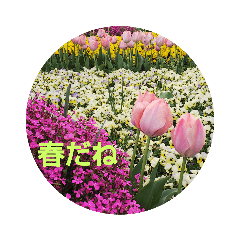 [LINEスタンプ] flowers＆more