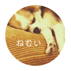 [LINEスタンプ] ふくのすたんぷ