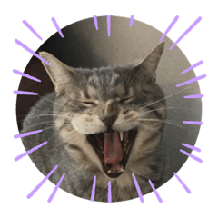 [LINEスタンプ] Wモン