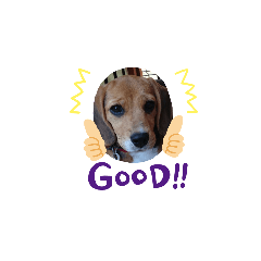 [LINEスタンプ] marochanのスタンプ