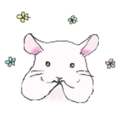 [LINEスタンプ] ゆるっと、我が家のチンチラさん。