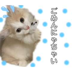 [LINEスタンプ] かなめくんなのだ