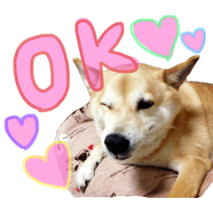 [LINEスタンプ] くうさんです