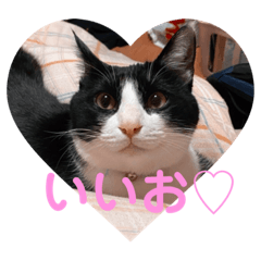 [LINEスタンプ] シーくん5