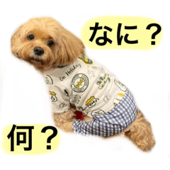 [LINEスタンプ] モナカ♡