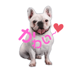 [LINEスタンプ] フレブルコナリ3