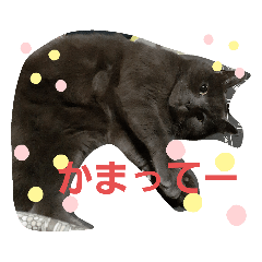 [LINEスタンプ] ロミロミスタンプ