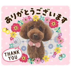 [LINEスタンプ] すずちゃんの色々挨拶スタンプ2