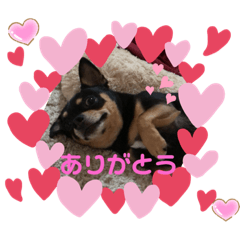 [LINEスタンプ] モモン_20200404011938