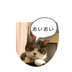 [LINEスタンプ] 人気者らぶにゃん