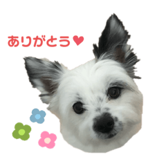 [LINEスタンプ] こはるちゃん.3