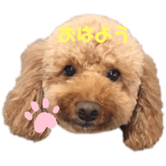 [LINEスタンプ] ︎︎︎︎︎☺︎‪‪みみ‪‪︎︎︎︎︎☺︎