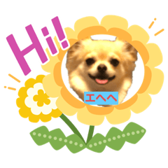 [LINEスタンプ] ちょいワル犬ルーク2
