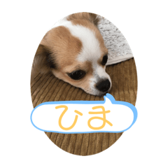 [LINEスタンプ] すたふく