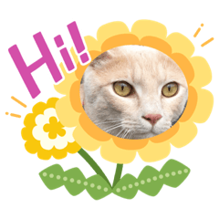 [LINEスタンプ] プリティーもなか