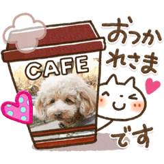 [LINEスタンプ] モカロンスタンプ