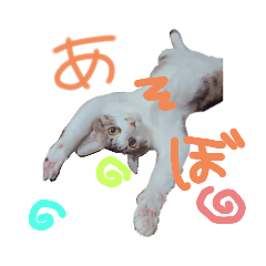 [LINEスタンプ] ひなたつめあわせ