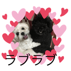 [LINEスタンプ] トイプードルとシーズー？