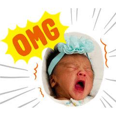 [LINEスタンプ] マルチーズと赤ちゃん