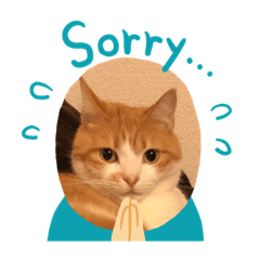[LINEスタンプ] ねこの気持ち、うに＆めい